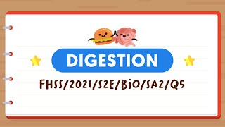 SCIENCE MADE SIMPLE EP16 | Digestion | Functions Of Human Digestive Organs 👤