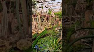 Part 48 (last)- Pairi daiza Series- Garden #supraash #viral #belgium #pairidaiza  #shortswithcamilla