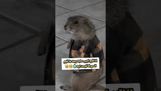 هو انا كنت قايم ليه 😂