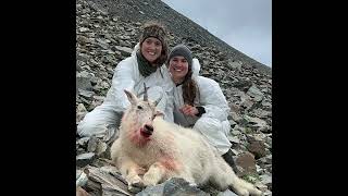 Episode 387 - Fly-in mountain goat hunting