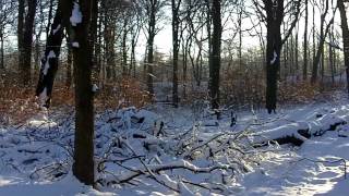 Haigh Hall snow December 2010