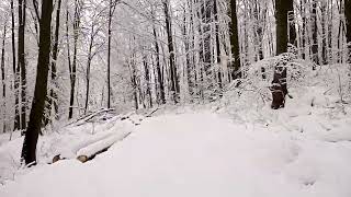 off-road polaris winter #polaris #atv #winter #mountain #snow #polarissportsman1000 #forest