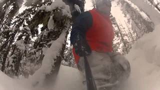 Curtis' Pow Reel @ Whistler