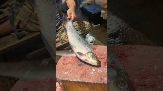 Amazing Kali Baush  Fish Cutting Skills In Bangladesh Fish Market #shorts