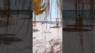 Little Paradise #beach #beachlife #music #trending #shorts #viral #video #beautiful #youtubeshorts