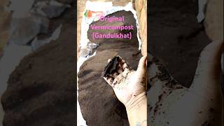 Original gandulkhat (vermicompost) kase asate#shorts#shots#ytshorts#shortvideo#farming