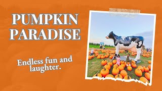 The ultimate Pumpkin Patch adventure awaits, are you ready?