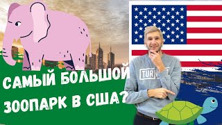 Калифорния  Сан Диего. Самый большой зоопарк в США и в Мире!