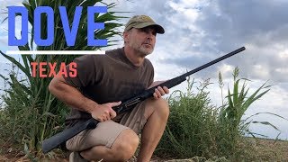 TEXAS Dove Hunting