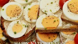 Happy National Egg Day. These little perfect oval marvels provide so much protein with an amazing ra