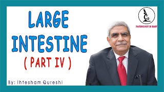 LARGE INTESTINE ( Part IV ) By Prof. Dr. Ihtesham Qureshi