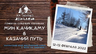 Гонки на собачьих упряжках МИН К,АЧИК,АМУ & КАЗАЧИЙ ПУТЬ (12-13 февраля 2022)