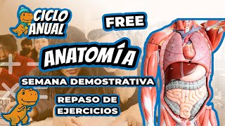 📐✍️🧡CLASES DEMOSTRATIVAS - ANATOMÍA🧑‍🏫✍️🧑‍🏫✍️