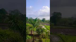 Morning Vibes WhatsApp Status #new #fullscreenstatus #views #nature #villagelife #morningvibes