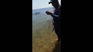 pescando cachorra  baragem sobradinho