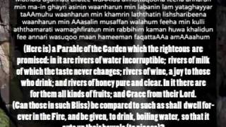 Surah 47 Muhammad 1 of 2