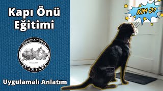 Köpeklerde Kapı Önü Eğitimi - Heyecanını Nasıl Kontrol Edebiliriz? - Uygulamalı Anlatım