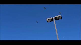 LUKE AIR FORCE BASE SALUTES CORONAVIRUS FRONTLINE WORKERS WITH FLYOVER IN SURPRISE ARIZONA