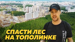 Как спасти лес Тополинки от вырубки под застройку