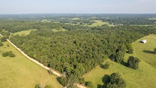 40 acres for Sale in the Missouri Ozarks |  2991 CR 256 #shorts