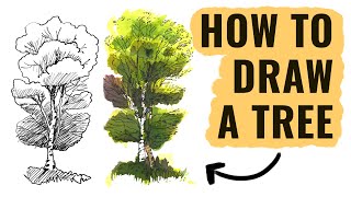 How to Sketch Plants and Trees