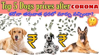 Top 5 Dogs prices In India | 2020 | Telugu