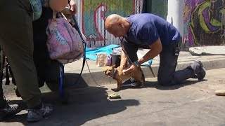 CBS 8 - Giving Veterinary Care to Pets of Owners Experiencing Homelessness