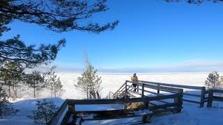 Frozen Lake Huron