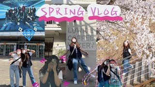 Cherry blossom 🌸 Spring in Seoul, Treasure Concert | Korea Vlog✨🌸🌺 (indo)