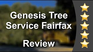 Genesis Tree Service Fairfax - Free Quotes - Tree Trimming