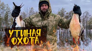 ВЕСЕННЯЯ ОХОТА НА УТКУ | СТАВИМ СЕТИ | ХОЛОД СОБАЧИЙ | ГОТОВИМ РЁБРА BBQ