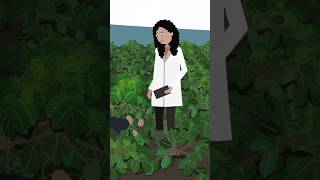 Biotech Farming: A Greener Future #biotech #agriculture #farming #future #shorts #ytshorts #tech