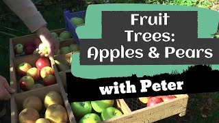 Fruit Trees - Apples and Pears | Garden Ideas | Peter Seabrook