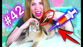 ЧТО ТО ПОШЛО НЕ ТАК НАДО СДЕЛАТЬ УКОЛ КРОЛИКУ - КОНКУРС #42 | Elli Di Pets