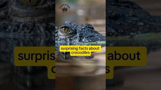 surprising facts about crocodiles #facts #wildlife6248