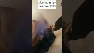 marvins jumpy beatbox 6