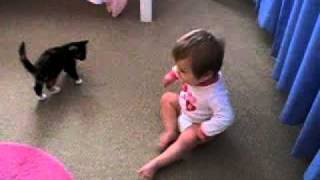 Pelea graciosa entre gatito y bebé animales gatos cachorros bebes cat and baby playing fighting