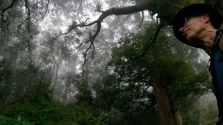 Ascenso al Cerro Cabeza de Vaca   Costa Rica y sus Asombros