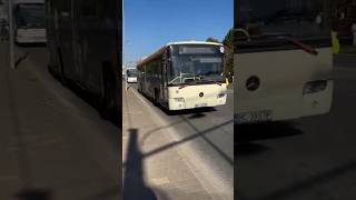 (📽:@PatrickIvecoBC17STB) autobuz Mercedes Benz conecto BC33STP pe linia 18