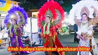 kirab budaya tambakan gandusari blitar