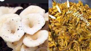 Mushroom masala recipe/ easy & quick mushroom curry //⁠￼​⁠@Villagefoodfactoryofficial7