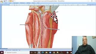 Musculo-skeletal Module ,Anatomy of Lower Limb in Arabic 34( Anterior tibiall artery  )