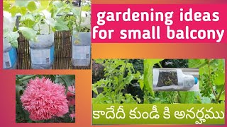 చిన్న బాల్కనీ లో ఈజీగా పెంచే మొక్కలు !smichi tv #gareding ideas for beginners