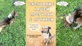 Как собака жадно пьет воду! Окончание нашей прогулки по парку с Путиком.