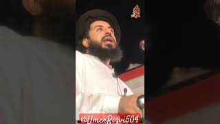 سینہ کھول کر حضور صلی اللہ علیہ وآلہ وسلم کا میلاد منانا ہیں 🔥 #tlp #295c #khr #viralshorts