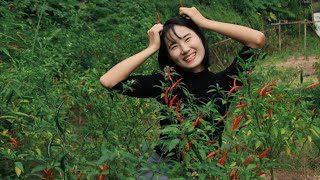 BEST Winter Hot Meal 🌶️ Homemade Pickle-Chili with Freshly Caught Crucian Carp | Couple in Sichuan