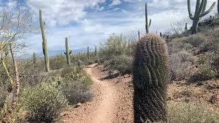 First hike in March