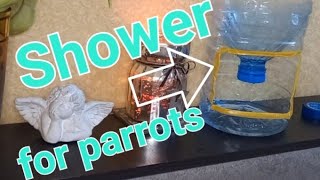 Купалка для попугаев сделать своими руками - просто смотри! Do-it-yourself shower for parrots