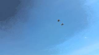 Stearman PT-17 formation flyby and break