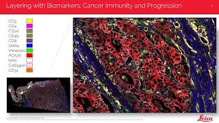 Transforming tissue research with open multiplexing